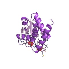 Example Structure of phosphatidylglycerophosphatase EC#: 3.1.3.27