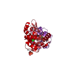 Example Structure of phosphoserine phosphatase EC#: 3.1.3.3