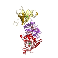 Example Structure of polynucleotide 5'-phosphatase EC#: 3.1.3.33