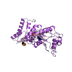 Example Structure of deoxynucleotide 3'-phosphatase EC#: 3.1.3.34