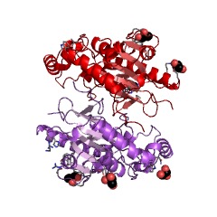 Example Structure of sedoheptulose-bisphosphatase EC#: 3.1.3.37