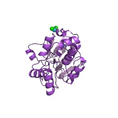 Example Structure of 4-nitrophenylphosphatase EC#: 3.1.3.41