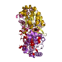 Example Structure of 3-deoxy-manno-octulosonate-8-phosphatase EC#: 3.1.3.45