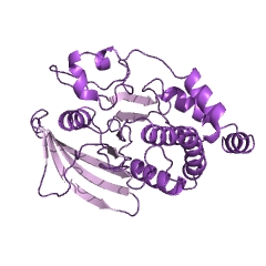 Example Structure of protein-tyrosine-phosphatase EC#: 3.1.3.48
