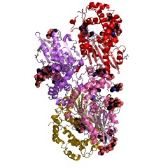Example Structure of 5'-nucleotidase EC#: 3.1.3.5