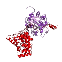 Example Structure of [myosin-light-chain] phosphatase EC#: 3.1.3.53