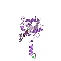 Example Structure of 3'-nucleotidase EC#: 3.1.3.6