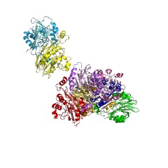 Example Structure of phosphoenolpyruvate phosphatase EC#: 3.1.3.60