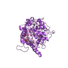 Example Structure of phosphatidylinositol-3-phosphatase EC#: 3.1.3.64