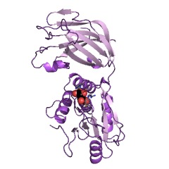 Example Structure of phosphatidylinositol-3,4,5-trisphosphate 3-phosphatase EC#: 3.1.3.67