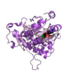 Example Structure of 3'(2'),5'-bisphosphate nucleotidase EC#: 3.1.3.7