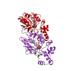 Example Structure of mannosyl-3-phosphoglycerate phosphatase EC#: 3.1.3.70