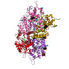 Example Structure of phosphoethanolamine/phosphocholine phosphatase EC#: 3.1.3.75