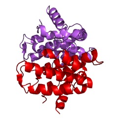 Example Structure of 5'-deoxynucleotidase EC#: 3.1.3.89