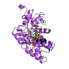 Example Structure of 3',5'-nucleoside bisphosphate phosphatase EC#: 3.1.3.97
