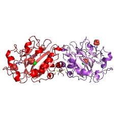 Example Structure of Serratia marcescens nuclease EC#: 3.1.30.2