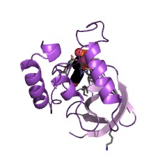 Example Structure of micrococcal nuclease EC#: 3.1.31.1