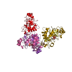 Example Structure of phosphodiesterase I EC#: 3.1.4.1
