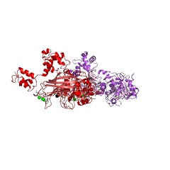 Example Structure of phosphoinositide phospholipase C EC#: 3.1.4.11
