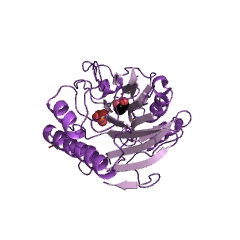 Example Structure of sphingomyelin phosphodiesterase EC#: 3.1.4.12