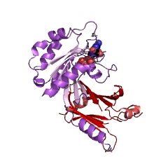 Example Structure of 3',5'-cyclic-nucleotide phosphodiesterase EC#: 3.1.4.17
