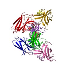 Example Structure of glycerophosphocholine phosphodiesterase EC#: 3.1.4.2