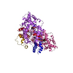 Example Structure of 3',5'-cyclic-GMP phosphodiesterase EC#: 3.1.4.35