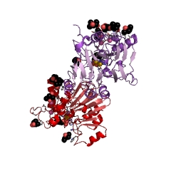 Example Structure of glycerophosphocholine cholinephosphodiesterase EC#: 3.1.4.38