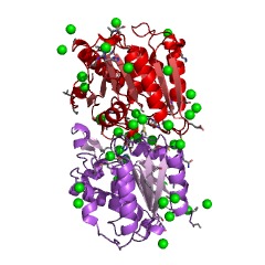 Example Structure of alkylglycerophosphoethanolamine phosphodiesterase EC#: 3.1.4.39
