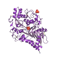 Example Structure of phospholipase D EC#: 3.1.4.4
