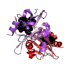 Example Structure of cyclic-guanylate-specific phosphodiesterase EC#: 3.1.4.52