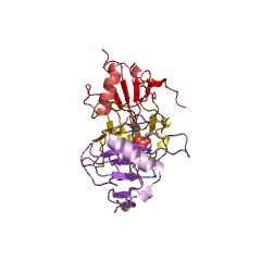 Example Structure of Aspergillus oryzae ribonuclease EC#: 3.1.4.8