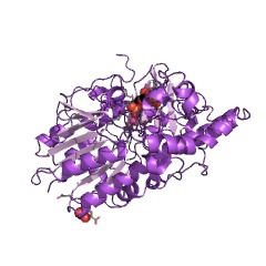 Example Structure of N-acetylglucosamine-6-sulfatase EC#: 3.1.6.14