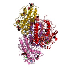 Example Structure of glucuronate-2-sulfatase EC#: 3.1.6.18