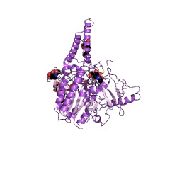 Example Structure of steryl-sulfatase EC#: 3.1.6.2