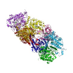 Example Structure of choline-sulfatase EC#: 3.1.6.6