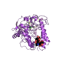 Example Structure of cerebroside-sulfatase EC#: 3.1.6.8