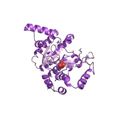 Example Structure of tuberculosinol synthase EC#: 3.1.7.8