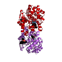 Example Structure of aryldialkylphosphatase EC#: 3.1.8.1
