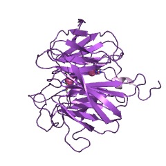 Example Structure of diisopropyl-fluorophosphatase EC#: 3.1.8.2