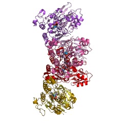 Beispielstruktur der Phosphonoacetathydrolase EC #: 3.11.1.2