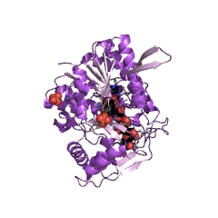 Beispielstruktur der UDP-Sulfochinovose-Synthase EC #: 3.13.1.1