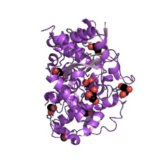 Example Structure of 2'-hydroxybiphenyl-2-sulfinate desulfinase EC#: 3.13.1.3