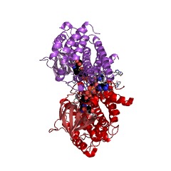 מבנה דוגמא של desulfinase 3-sulfinopropanoyl-CoA EC: 3.13.1.4