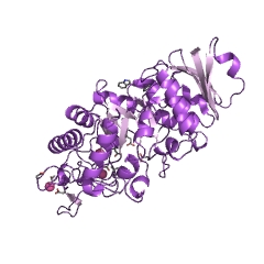 Example Structure of alpha-amylase EC#: 3.2.1.1