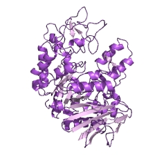Example Structure of oligo-1,6-glucosidase EC#: 3.2.1.10