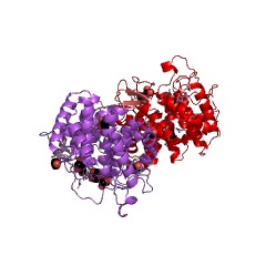 Example Structure of mannan endo-1,6-alpha-mannosidase EC#: 3.2.1.101