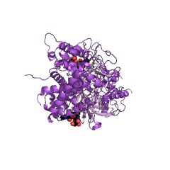 Example Structure of mannosyl-oligosaccharide glucosidase EC#: 3.2.1.106