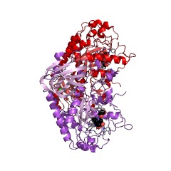 Example Structure of 1,3-alpha-L-fucosidase EC#: 3.2.1.111