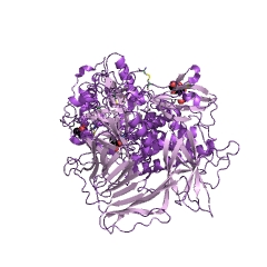 Example Structure of mannosyl-oligosaccharide 1,3-1,6-alpha-mannosidase EC#: 3.2.1.114